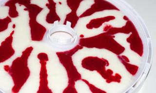 Domaća pastila od jogurta Sušilica isidri recepti čips od rajčice