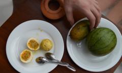 Srí Lanka nemzeti ételei