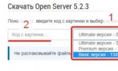 A helyi szerver nyitva van.  OpenServer telepítése.  A parancssorban használandó parancsok