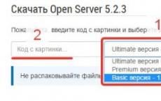 Le serveur local est ouvert.  Installation d'OpenServer.  Commandes à utiliser sur la ligne de commande
