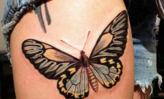 Butterfly tattoo Pomen tetovaže metulja pri starih ljudstvih