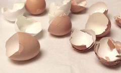 A tojáshéj előnyei és ártalmai, hogyan kell szedni