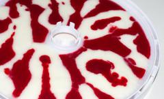 Ev yapımı yoğurt pastil Kurutucu isidri tarifleri domates cipsi